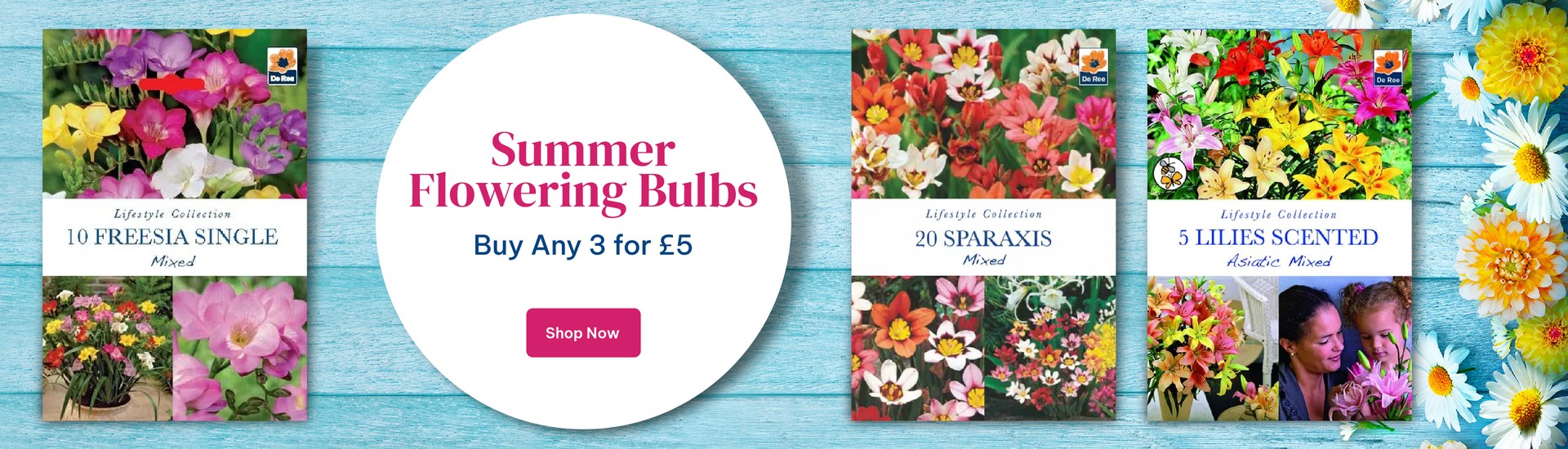 3 For £5 On Summer Flowering Bulbs