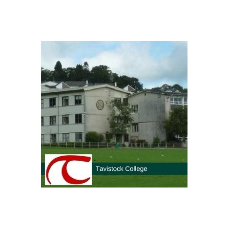 Tavistock College