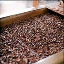 Willies Cacao Hazelnut & Raisin Dark Chocolate Bar 50g additional 3