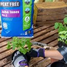 Levington Peat Free John Innes No.2 Compost 25Ltr additional 5