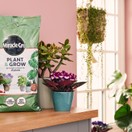 Miracle-Gro® Plant & Grow Compost 10Ltr additional 4