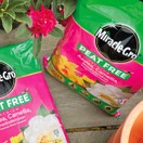 Miracle-Gro® Peat Free Premium Azalea, Camellia & Rhododendron Ericaceous Compost 40Ltr additional 3