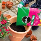 Miracle-Gro® Peat Free Premium Azalea, Camellia & Rhododendron Ericaceous Compost 40Ltr additional 5