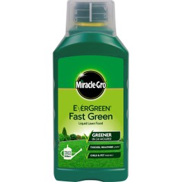 Miracle-Gro EverGreen Fast Green Liquid Concentrate 1Ltr