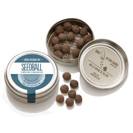 Seedball Tin Urban Meadow Mix