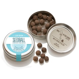 Seedball Tin Cloud Meadow Mix