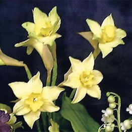 FMM Sugarcraft Daffodil Cutter 2 Piece Set