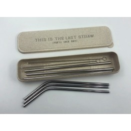 Stainless Steel Straws & Case