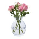Dartington Flower Garden Bloom Vase VA3129 additional 1