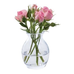 Dartington Flower Garden Bloom Vase VA3129