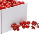 Festive Red Berry Cluster Pick asstd 253777 additional 1