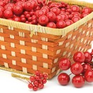 Festive Red Berry Cluster Pick asstd 253777 additional 2