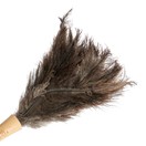 Living Nostalgia Genuine Ostrich Feather Duster with Telescopic Handle additional 1
