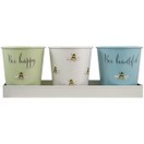 Bee Happy 3pk Pots With Tray additional 1