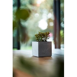 Stewart Garden Plant Pot Beton Cube