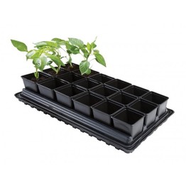 Garland Vegetable Tray Set 18x9cm Pots W0064