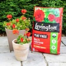 Levington® Peat Free Multi Purpose Compost with added John Innes 50Ltr additional 3