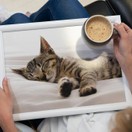 Creative Tops Sleeping Kitten Lap Tray additional 2