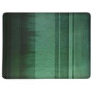 Denby Colours Green Pack of 6 Tablemats or Coasters additional 1