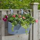 Fence & Balcony Hanging Pot 12inch additional 2