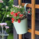 Fence & Balcony Hanging Pot 6inch additional 2