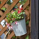 Fence & Balcony Hanging Pot 6inch additional 3