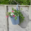 Fence & Balcony Hanging Pot 6inch additional 1