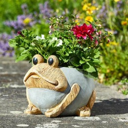 Woodstone Frog Planter