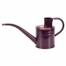 Home and Balcony Watering Can - Violet additional 2