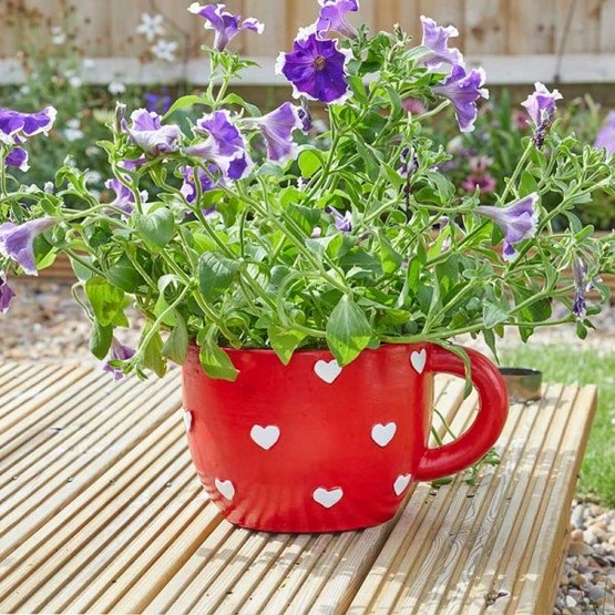 Teacup Red Heart Planter