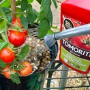 Levington Tomorite® Concentrated Organic Tomato Food additional 6