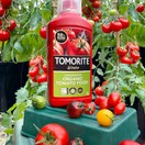 Levington Tomorite® Concentrated Organic Tomato Food additional 3