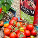 Levington Tomorite® Concentrated Organic Tomato Food additional 4