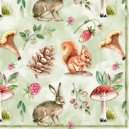 TiFlair Woodland Animals Lunch Napkins 3 ply
