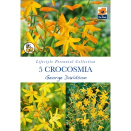 Summer Flowering Bulbs Crocosmia George Davidson
