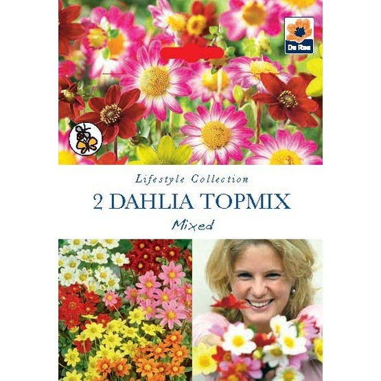 Summer Flowering Bulbs Dahlia Topmix Mixed