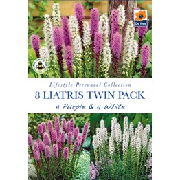 Summer Flowering Bulbs Liatris Twin Pack Purple & White
