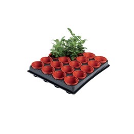Professional Mini Seed and Cutting Tray 20x6cm Pots