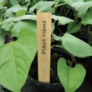 Garland Wooden Plant Labels Pack of 10 additional 1