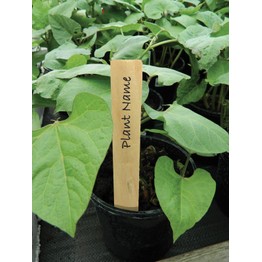 Garland Wooden Plant Labels Pack of 10