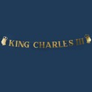 King Charles III Banner Gold 2mtr additional 1
