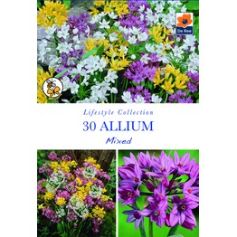 The Lifestyle Bulb Collection - Spring Flowering Allium Mixed
