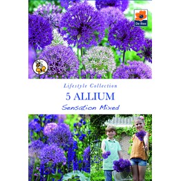 The Lifestyle Bulb Collection - Spring Flowering Allium Sensation Mixed