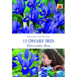 The Lifestyle Bulb Collection - Spring Flowering Dwarf Iris Reticulata Blue