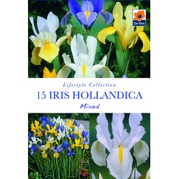 The Lifestyle Bulb Collection - Spring Flowering Iris Hollandica Mixed