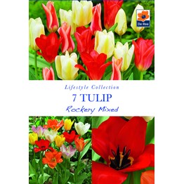 The Lifestyle Bulb Collection - Spring Flowering Tulip Rockery Mixed