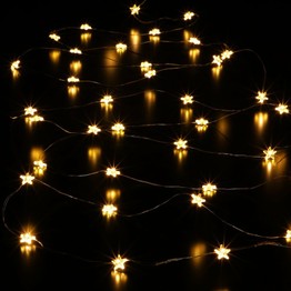 Noma Star Wire Lights Warm White (40) 1023005