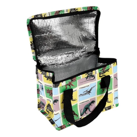 Recycled Insulated Lunch Bag Prehistoric