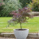 Stewart Honey Pot Planter Alpine Grey additional 1