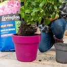 Levington® Peat Free Ericaceous Compost With Added John Innes 25ltr additional 3